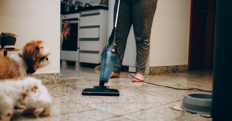 The Best Vacuums for Pet Hair: Comparing Bagged vs. Bagless Models for Allergies and Ease of Use