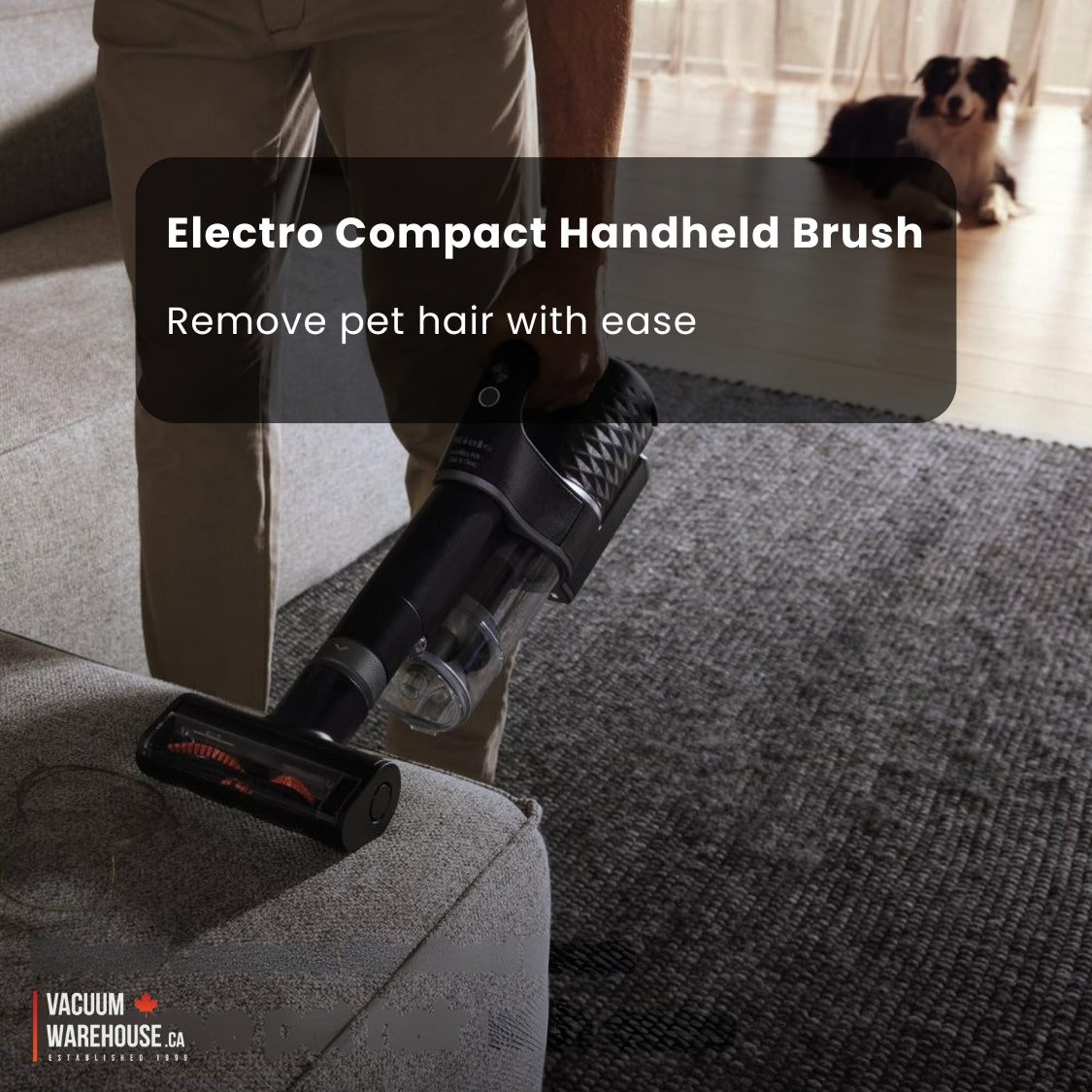 Miele Duoflex HX1 Total Care Cordless Stick Vacuum Cleaner - Osbidian Black