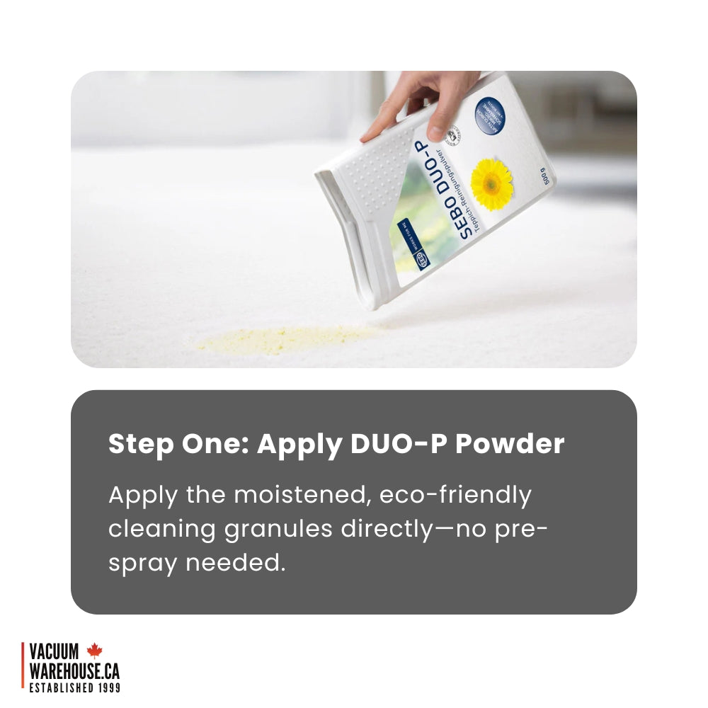 SEBO DUO Carpet Dry Cleaning System