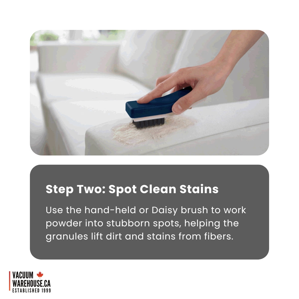 SEBO DUO Carpet Dry Cleaning System