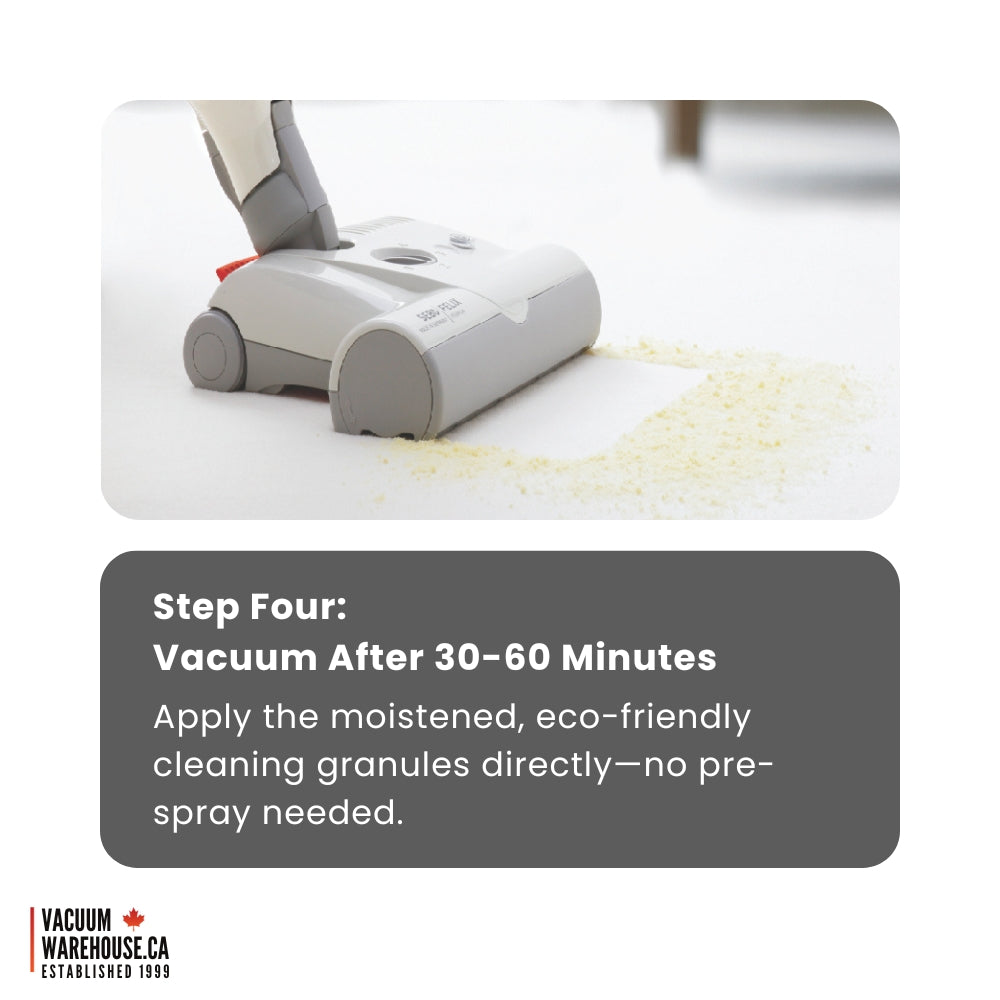 SEBO DUO Carpet Dry Cleaning System