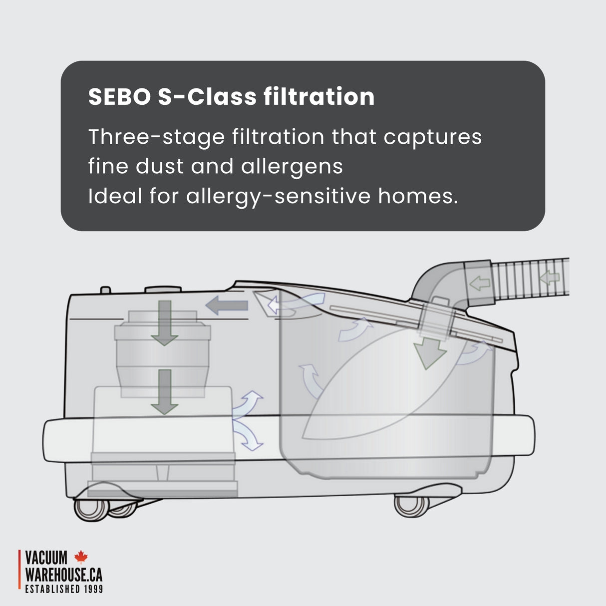 Sebo Airbelt D4 Premium Canister Vacuum Cleaner - White