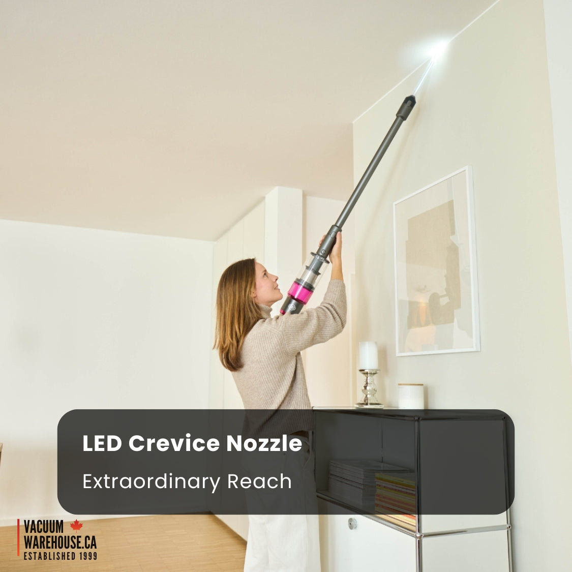 SEBO Balance A1 - Blue