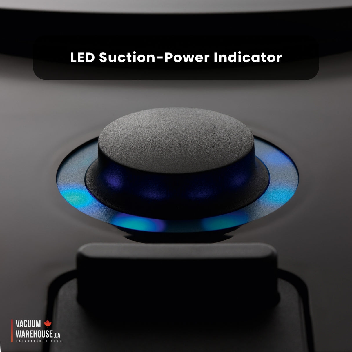 Sebo Airbelt D1 Canister vacuum cleaner - Black Cherry