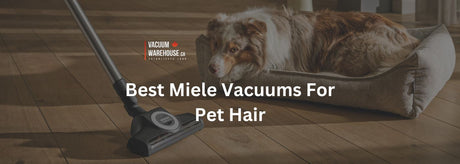 Best Miele Vacuums For Pet Hair