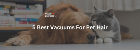 The 5 Best Vacuums For Pet Hair