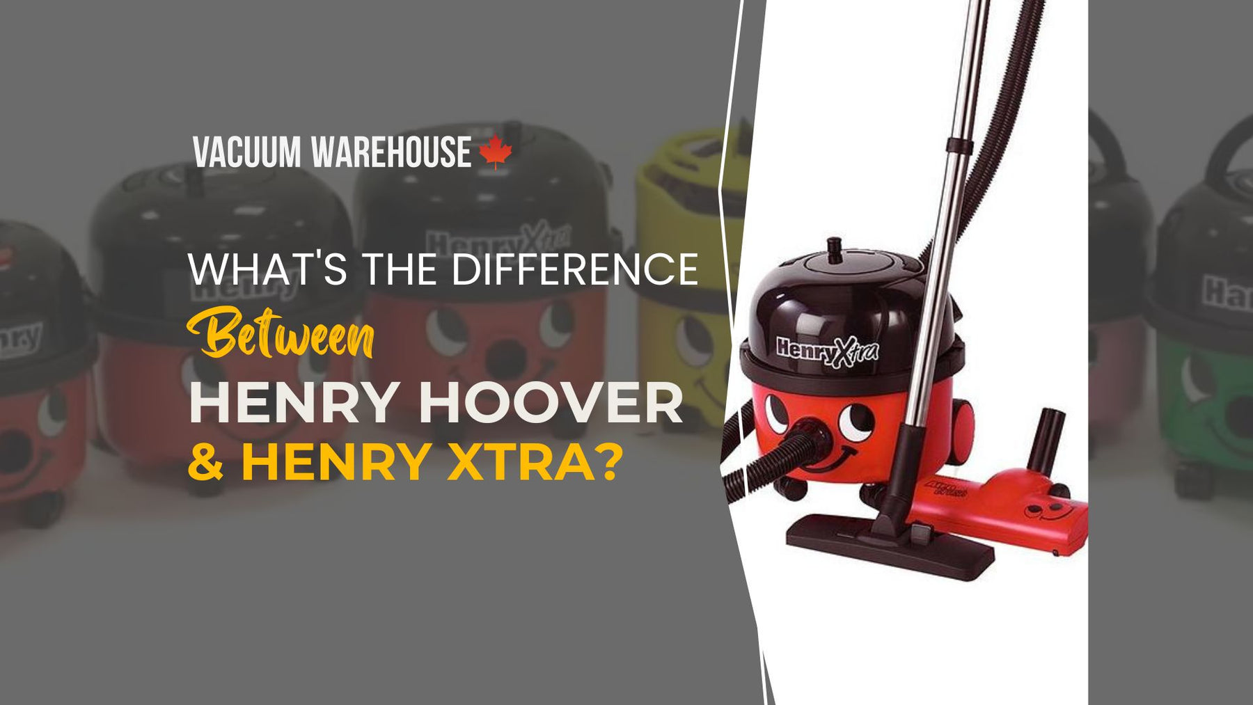 What's the difference between Henry Hoover and Henry Xtra?
