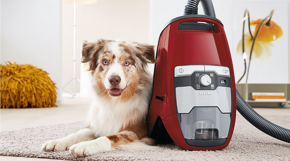 Best Canister Vacuum Cleaners For Pet Hair in 2022.