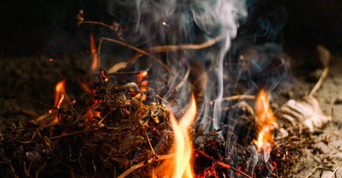 Can You Vacuum Fireplace Ash? What to Use and What to Avoid