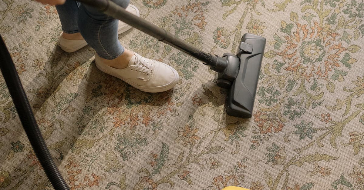 How to Choose the Right Canister Vacuum for Hard Floors and Area Rugs: Key Features to Look For