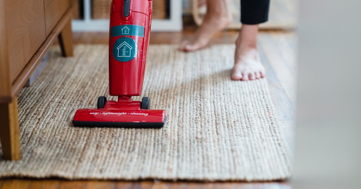SEBO ET-1 vs ET-2: Which Powerhead Is Right for Your Carpets?