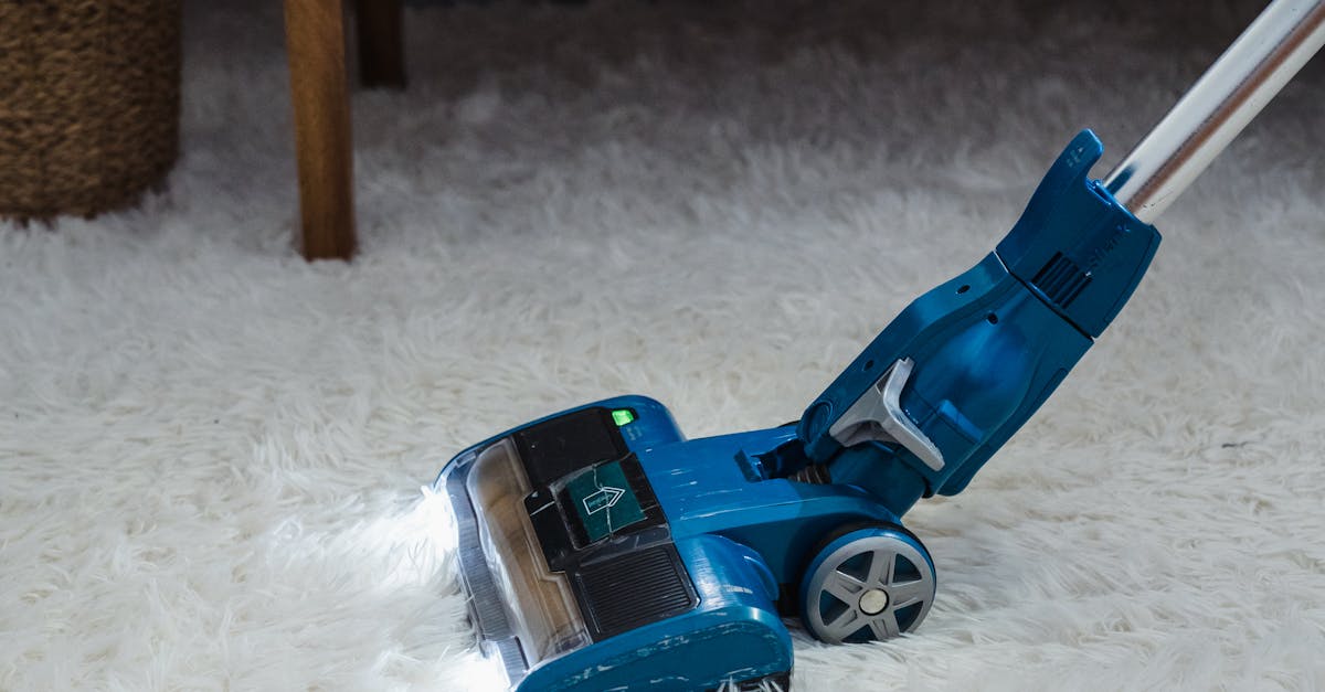 What Is the Best Vacuum for Wool Rugs? What to Look for Before You Buy