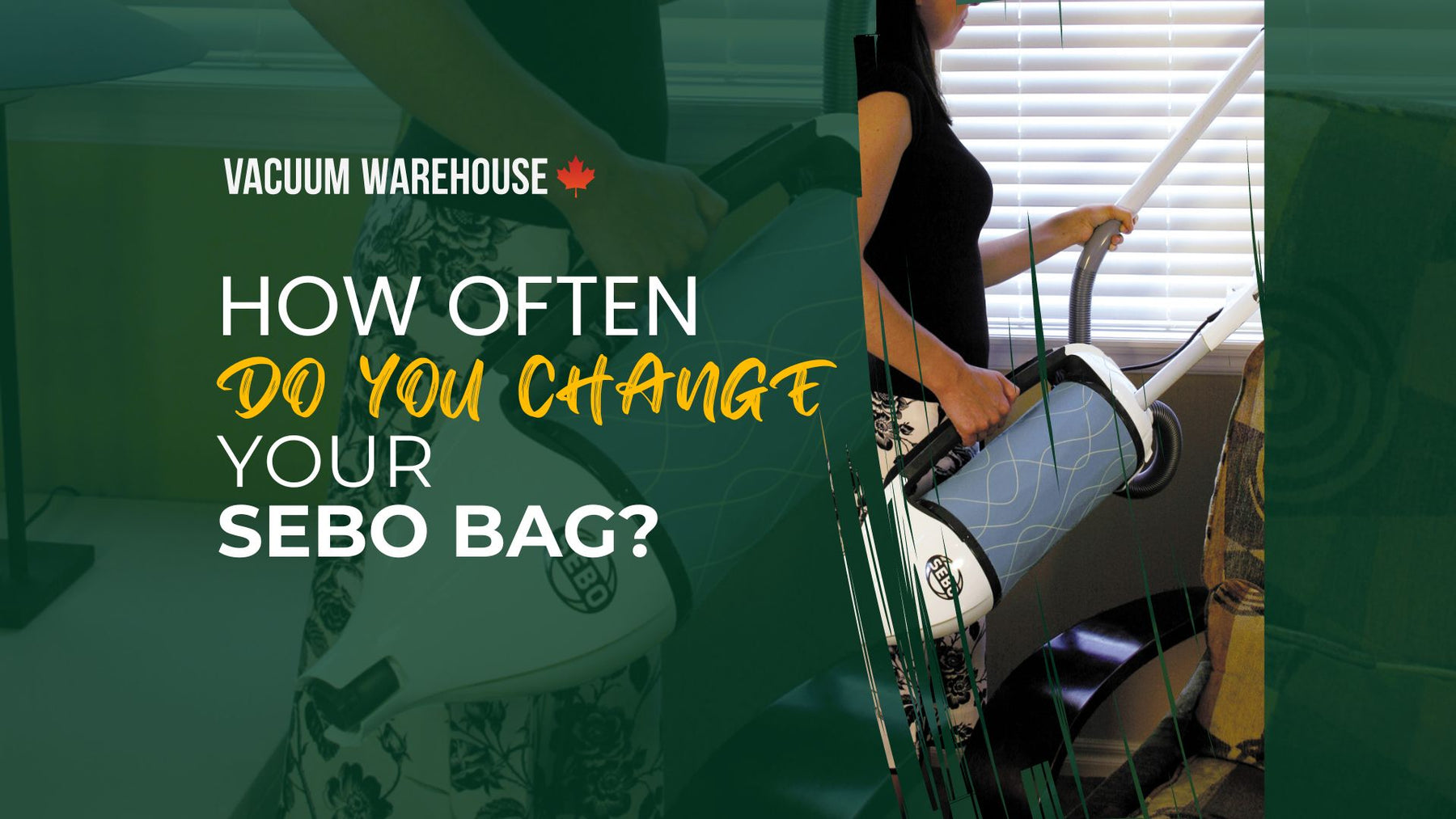 How often do you change your SEBO bag?