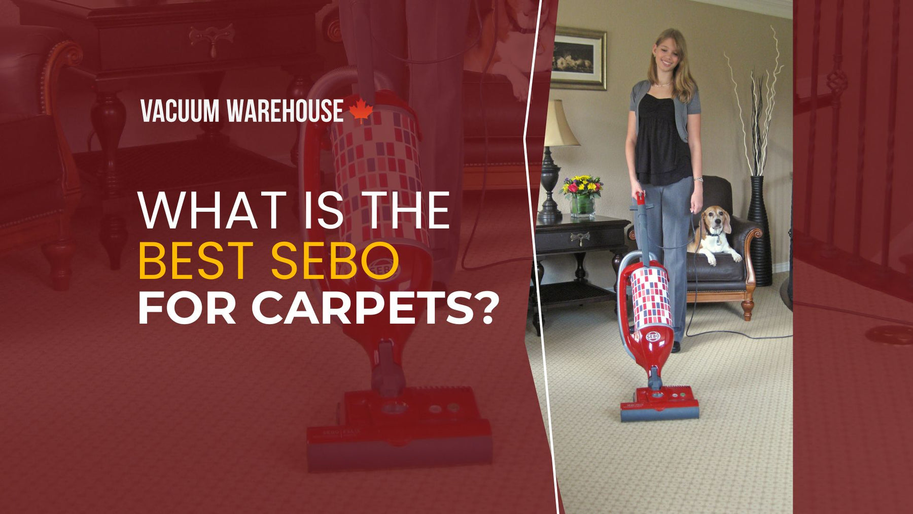 What is the best SEBO for Carpets?