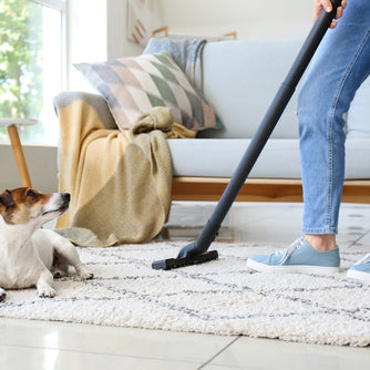 Person using one of the best vacuums for pet hair on carpet