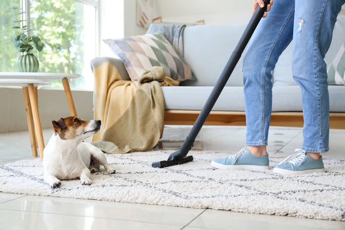 Person using one of the best vacuums for pet hair on carpet