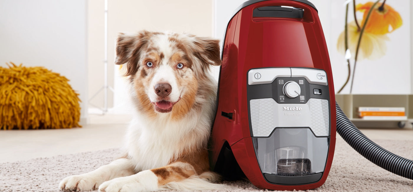 Best Vacuums For Pet Hair