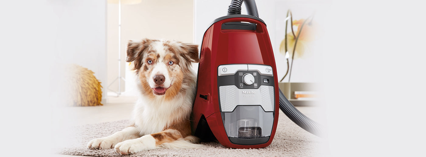 Miele Cat and Dog Models