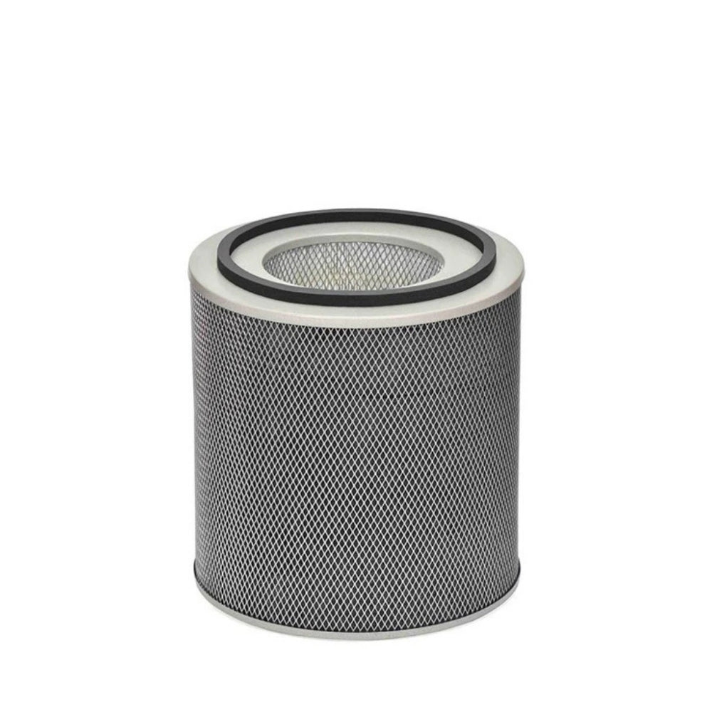 Austin Air HealthMate Plus Junior Filter - Black