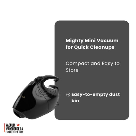 Riccar Gem Handheld Vacuum with Tools