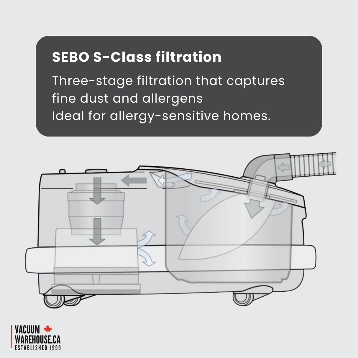 Sebo Airbelt D1 Canister vacuum cleaner - Black Cherry